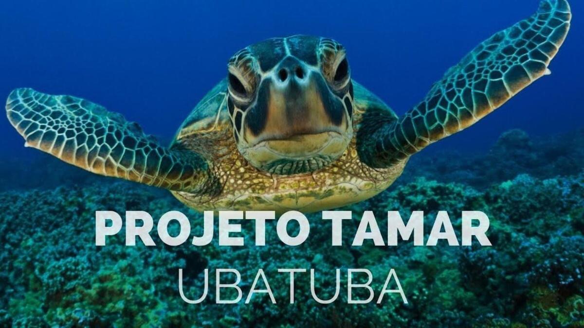 Aptº Triplex No Itagua A 300 Mt. Da Orla - 3 Dorm.